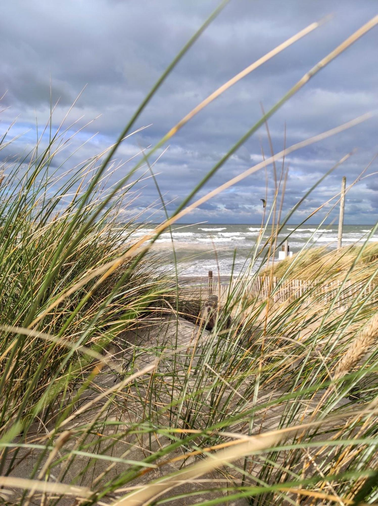 Maison Familiale De Vacances Bray-Dunes Eksteriør bilde